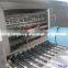 Automatic glass bottle washing machine