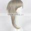 Synthetic Fashion Straight Anime Men Cosplay Wigs N444