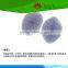 Low priced individual plant genetics prepared microscope slides