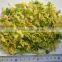 new crop of bulk dried cabbage flake
