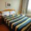 China supplier manufacture high grade multi stripes printed blanket