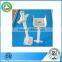 Best price HDG ringlock scaffolding