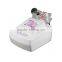 home cellulite machine pigment removal laser beauty equipment