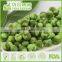 Strawberry Wasabi Flavor Green Peas Green Peas Manufacturer