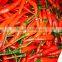 VIETNAM HOT PEPPER CHILLI +84963818434 Whatsapp