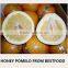 2015 new crop of fresh honey pomelo for sale