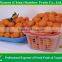 2015 china fresh baby mandarin orange from Nanfeng Jiangxi area