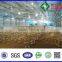 Full Automatic Chicken Breeding House Equipped With Agrologic 616 Controler