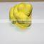 Life casting alginate with colour change in working progress(fast set 2'30",medium set 4'10",slow set 12')