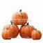 Resin thanksgiving decorations artificial thanksgiving pumpkin