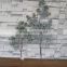 Plastic podocarpus pine tree branch flocked