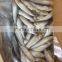 NEW FISH FROZEN SARDINE SEAFOOD FOR SALE