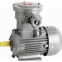 Explosion-proof Electric Motor