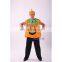 Hot Sale Adult Anime Costumes Halloween Pumpkin Mascot Costumes