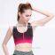 sport breathable colorful Yoga Fashion Wear sexy wear guard vest