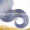 7a Grade Russia Virgin Hair, Gray Human Hair