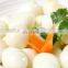 Automatic exported type boiled quail egg shell removal machine with factory price for sale
