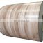Prepainted Steel Sheet/Wood Grain PPGI/Wooden Steel Coil
