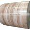 Prepainted Steel Sheet/Wood Grain PPGI/Wooden Steel Coil