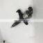 diesel common rail injector  8-98119228-3  fuel injector 095000-6980