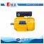 Light Weight Aluminum Body 0.5hp 2Poles Electric Motor Single Phase 50hz 220v