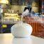2014 New drug elute stent-Aroma Diffuser GX automatic air freshener dispenser