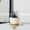 Popular Design Unique Small Ceramic Pots Indoor Circle European Mini Flowers Pot Set
