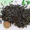 China Factory Supply High Quality Gold Coconut Shell Activated Carbon for Gold Extracting