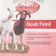 Livestock Feed Packing Bag Custom Design Lamination Packaging Pp Woven Cattle Mineral Packing Bag