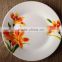 ceramic coloured dinner plates,china dinnerware