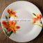 Food Ceramic Platter For Children/Porcelain Round Dinner Plate Set/High Quality Cheap Porcelain Candy Dish For Kids