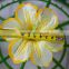 artificial hibiscus flowers real like print silk hibiscus flowers