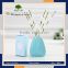 Eco-Friendly aromatherapy california scent Feature fragrance oil and Home Air Freshener Use aroma reed diffuser