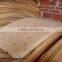 High Quality Eucalyptus Core Veneer in Vietnam