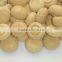 Canned mushroom with good quality for sale