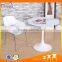White ABS Dining Chair With Chromed Legs,with Wooden Legs
