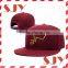 Custom Flat Brim Embroidery Snapback Cap/Hat