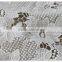 Fashion ollover floral polyester water soluble designer fabrics in white