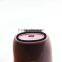 Hot sell car use/home use Air humidification nano mist spryer