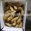 China Natural Fresh Yellow Ginger Suppliers