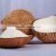 DESICCATED COCONUT HIGH FAT FINE GRADE - Premium quality