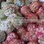Best Price White Natural Fresh Garlic promotion