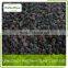 blackberry frozen for export