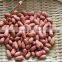 New Crops Red Skin Peanut Kernel