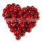 Cranberry Fruit Powder Extract Proanthocynidins 5--60% with anthocyanidins 5-25% UV