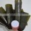 China Dried Seaweed Sushi Nori 100sheets