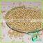 Organic Soybeans