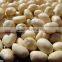 Shandong new crop fresh blanched peanut 61/71