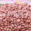 Selected Peanuts,shandong peanuts