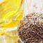 Natural Food Grade Linseed / Flaxseed Oil in bulk size